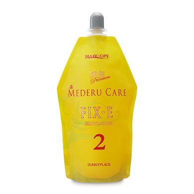 輝髪プレミアムメデルケア 400ml　ＦＩＸ－Ｅ
